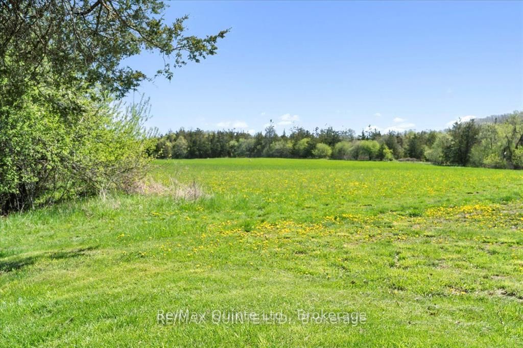 213 Gomorrah Road Property Photo 38