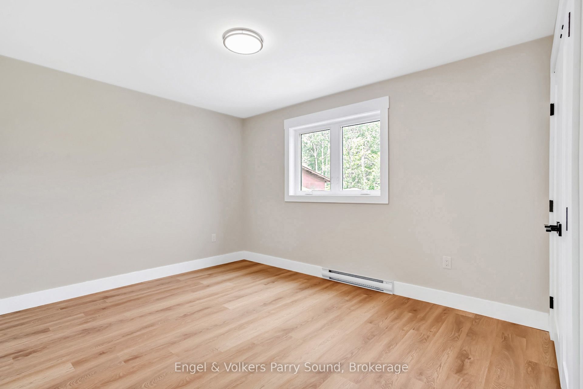 46 Forest Street Property Photo 19
