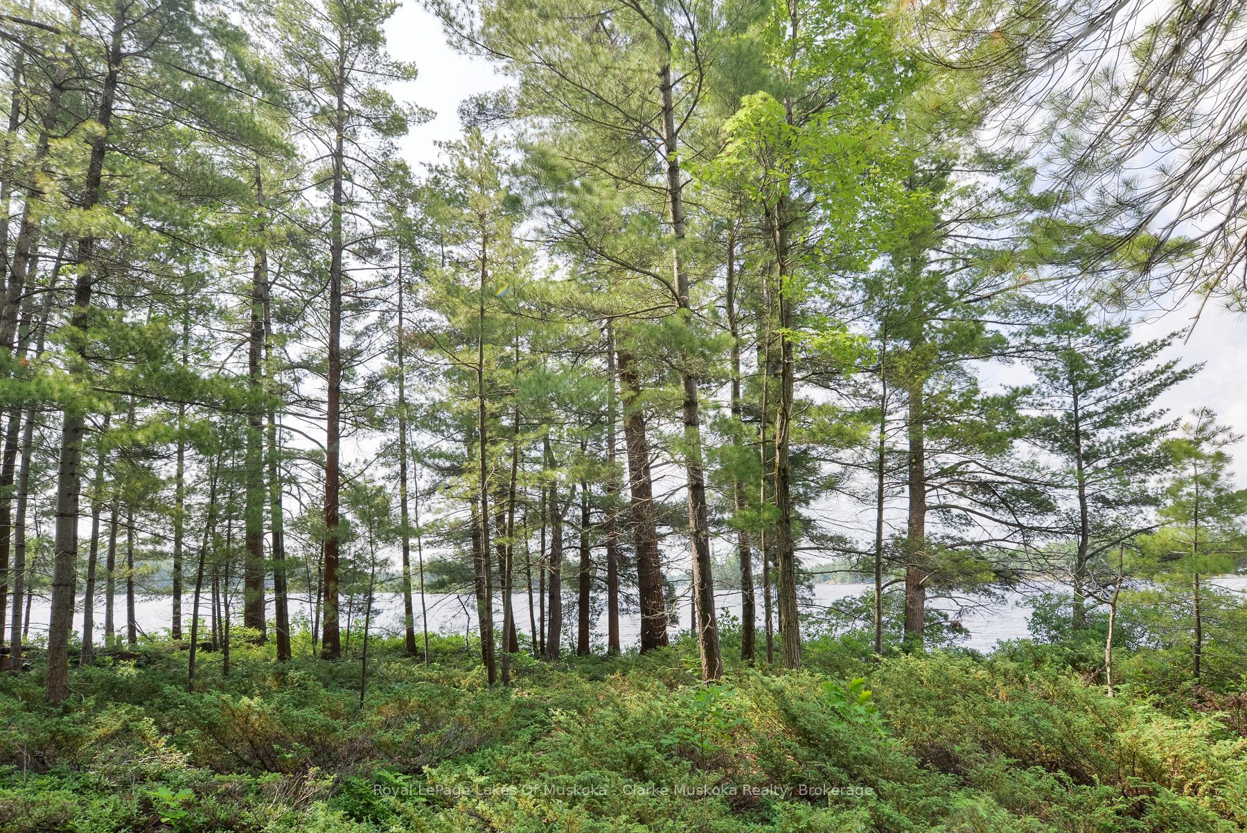 18 5kl Island Kahshe Lake Property Photo 27