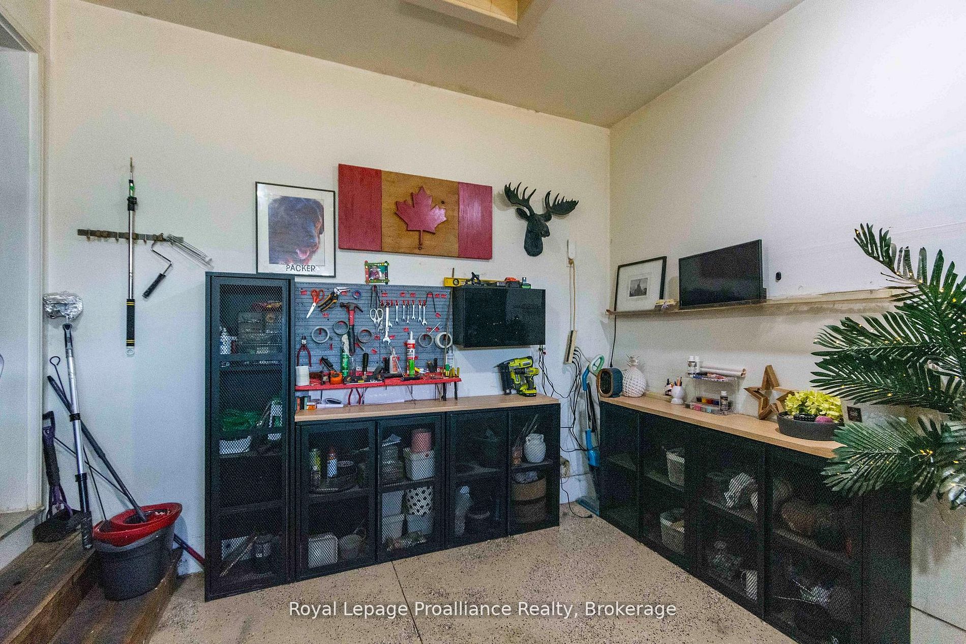 24 Buchanan Avenue Property Photo 27