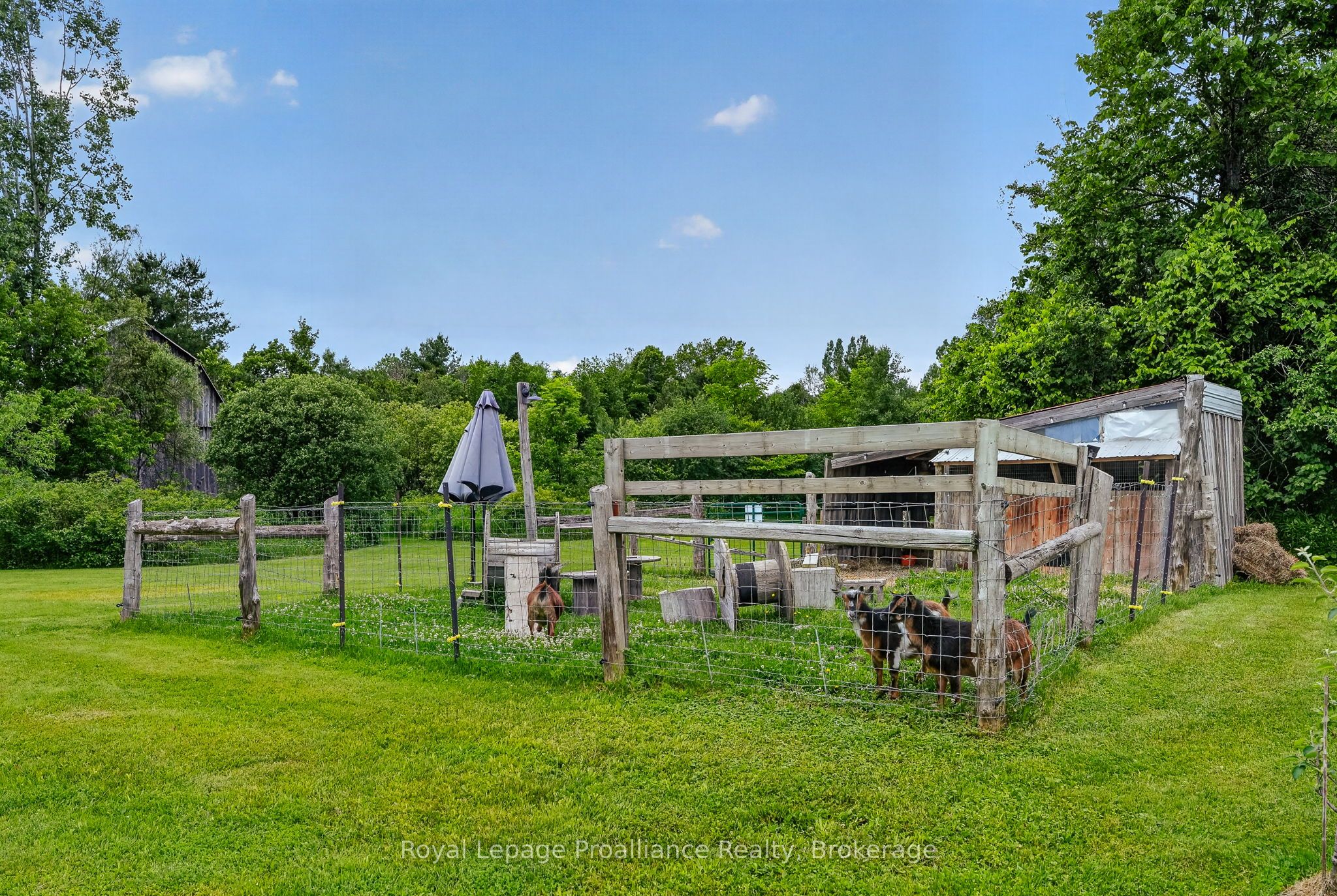 3570 Shelter Valley Road Property Photo 44