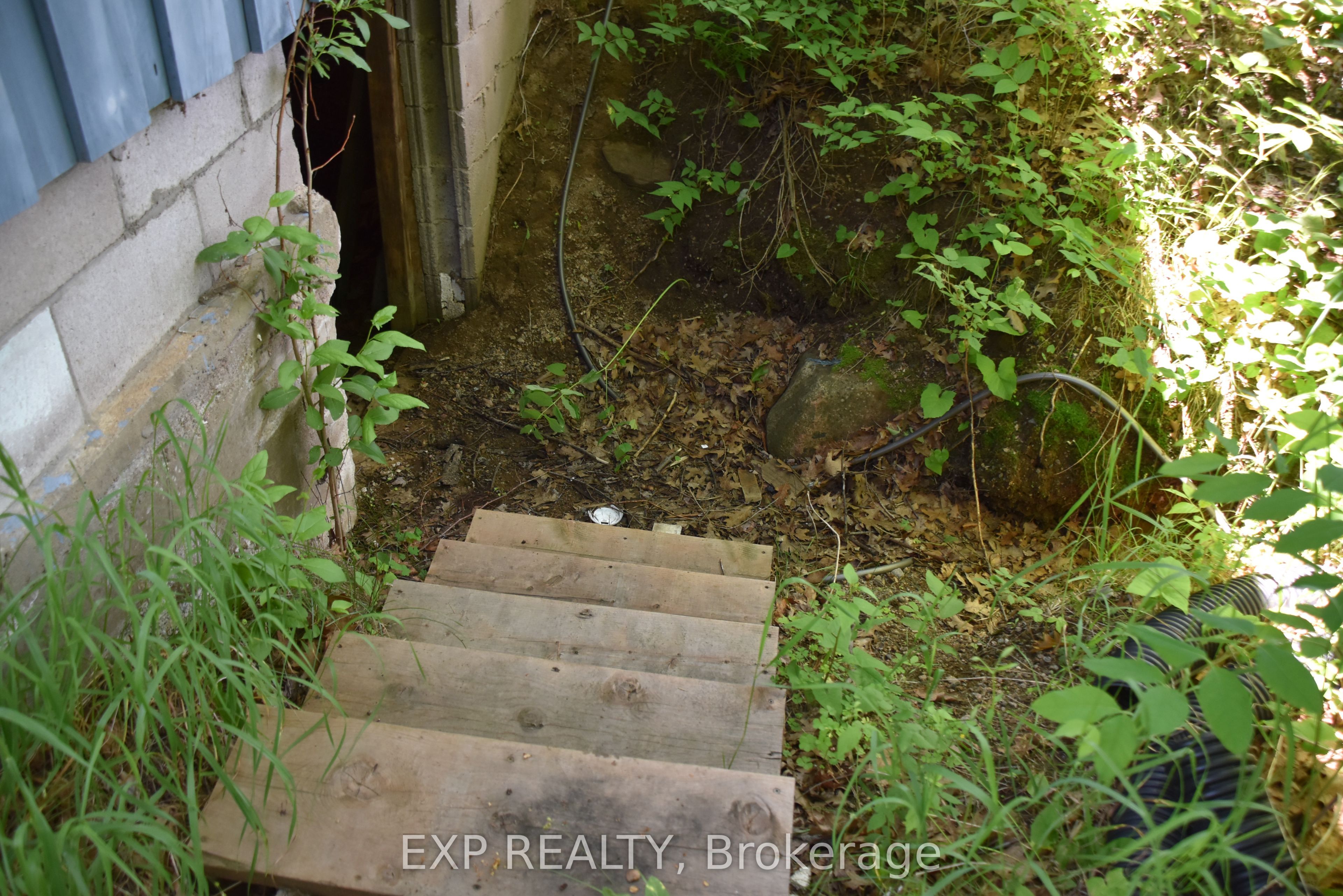 20368 Highway 60 Highway Property Photo 2