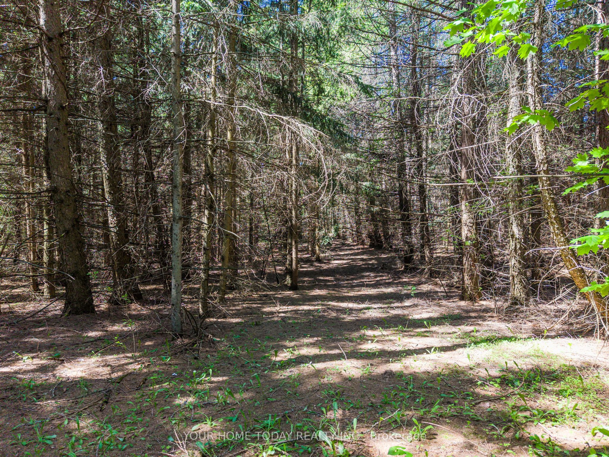 5214 Tenth Line Property Photo 39
