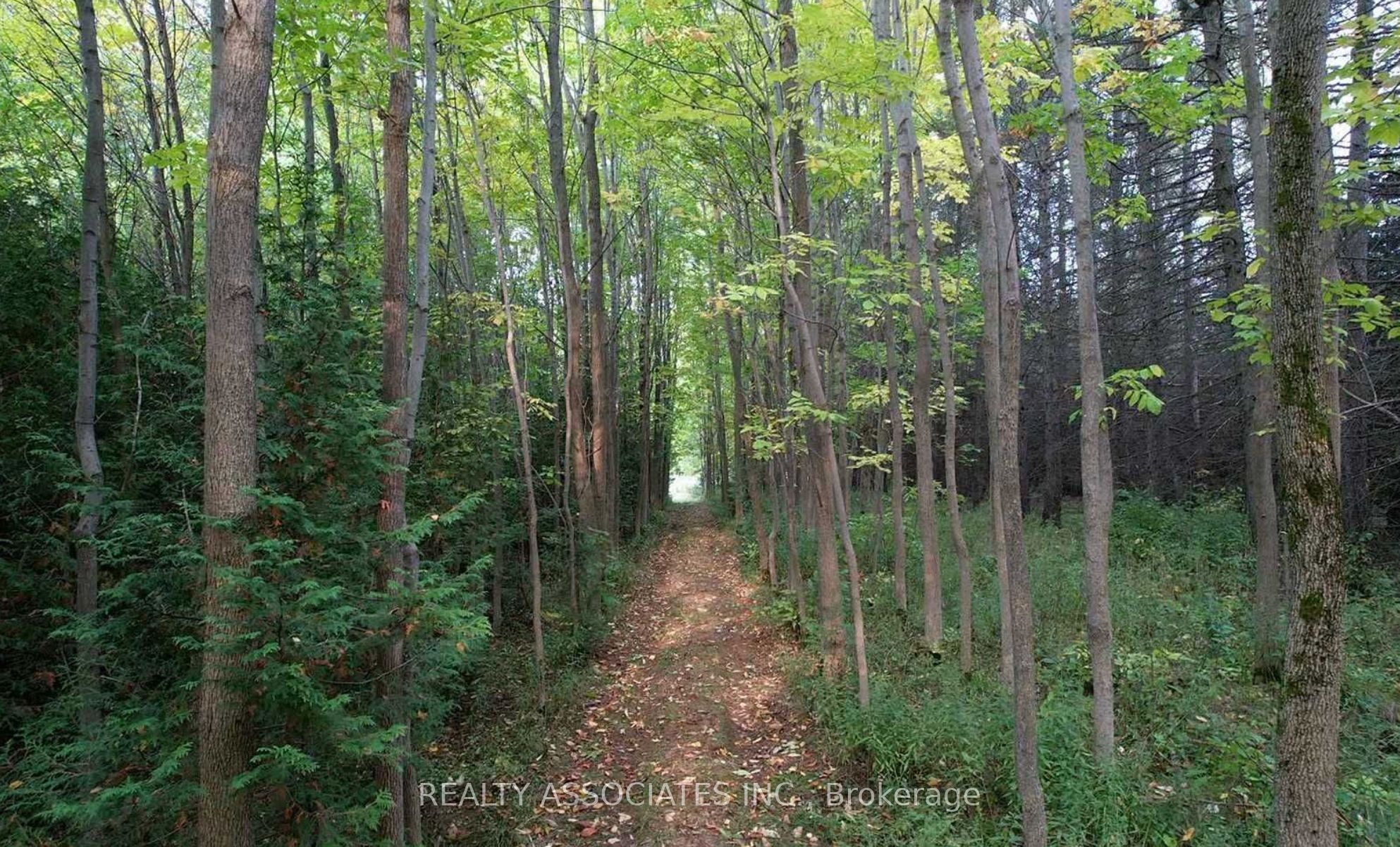 486289 30th Side Road Property Photo 50