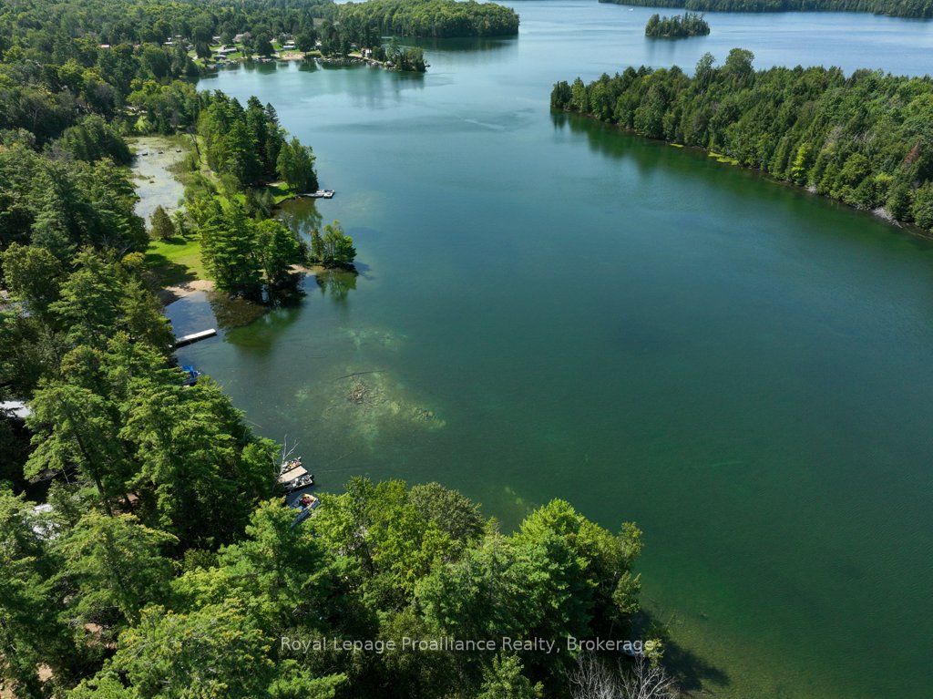 1117b Twin Pine Lane Property Photo 49