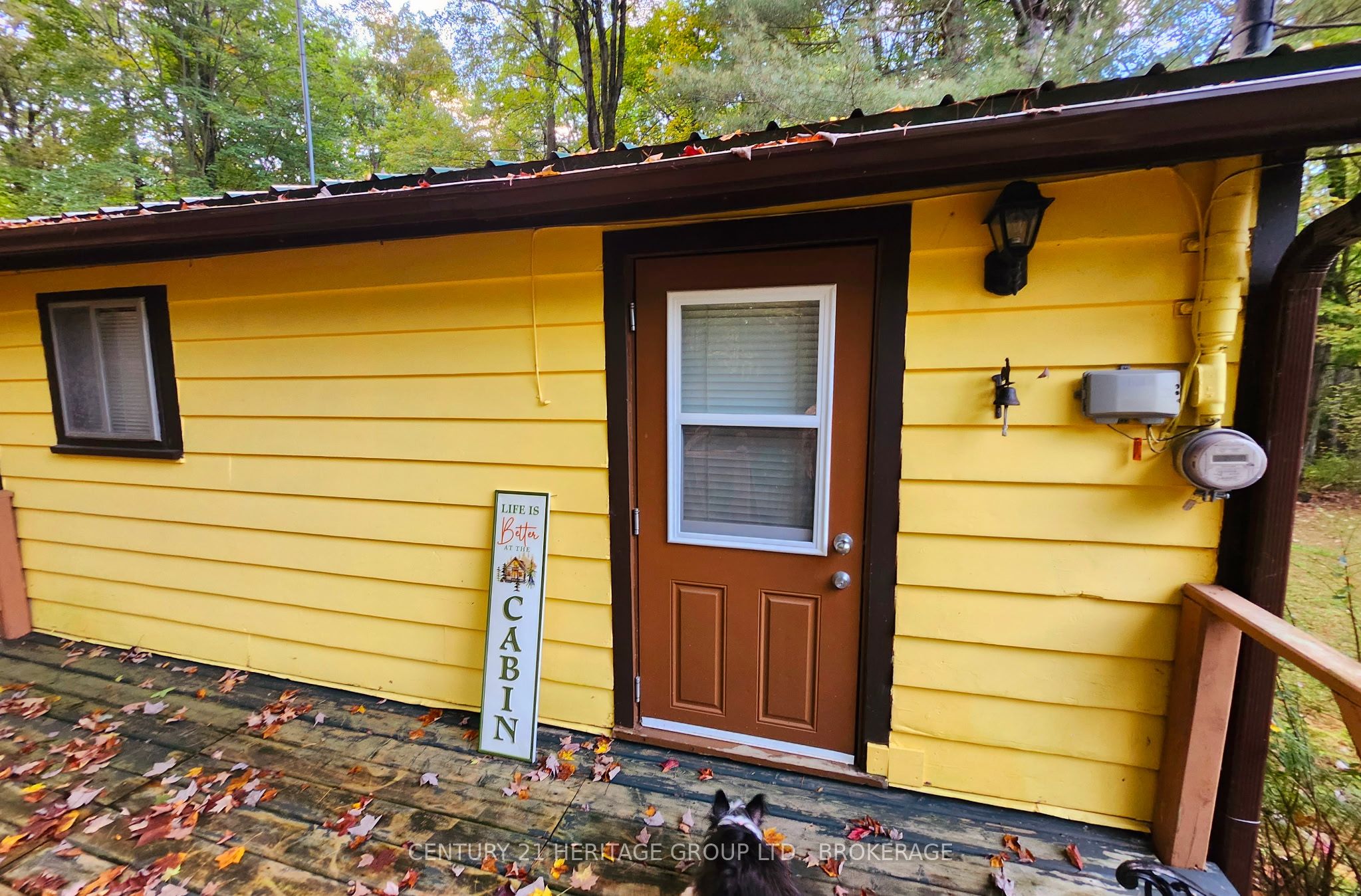 51a Thompson Lane Property Photo 4
