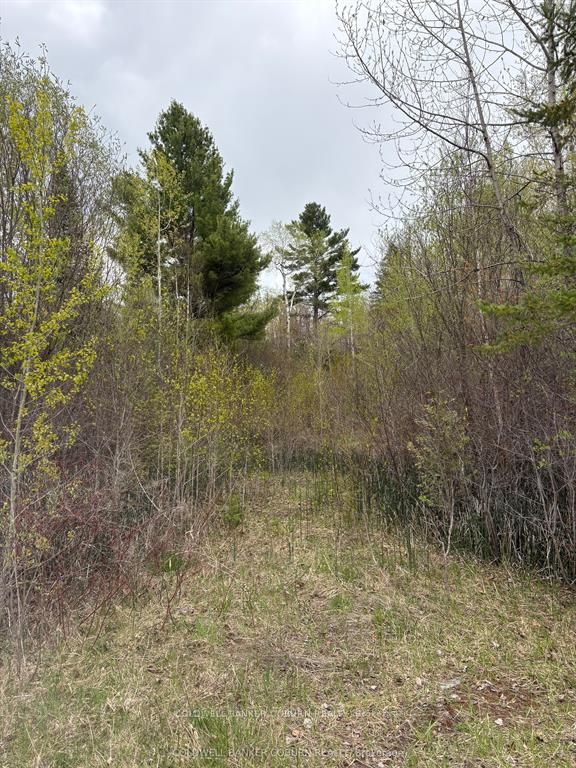 2035 Ventnor Road Property Photo 1