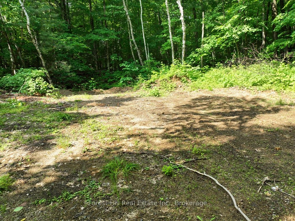 0 Alice Drive Property Photo 34