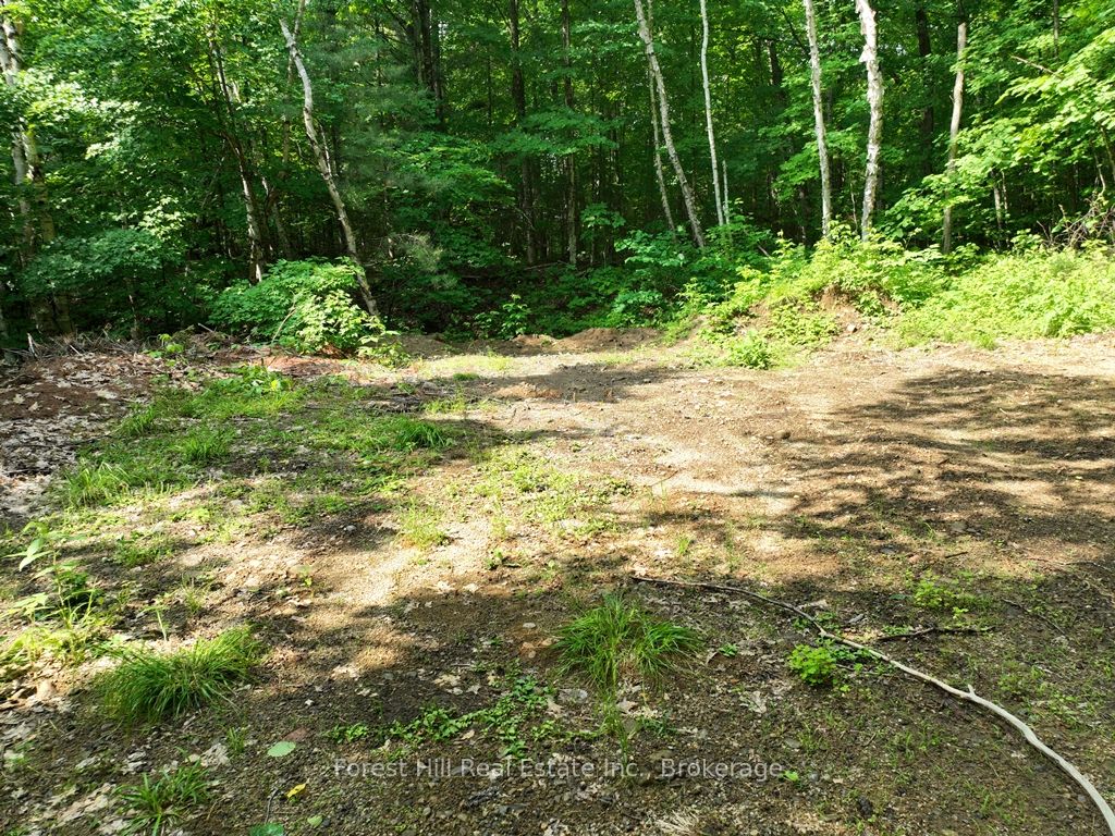 0 Alice Drive Property Photo 35