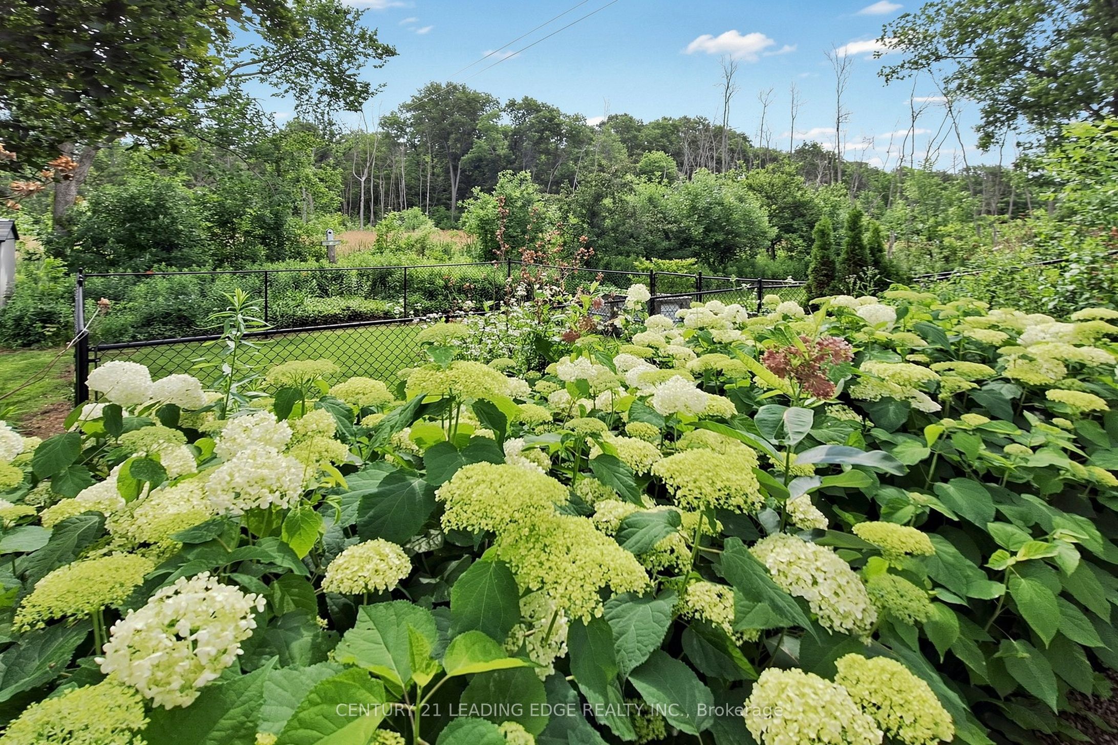 134 C Mudcat Road Property Photo 13