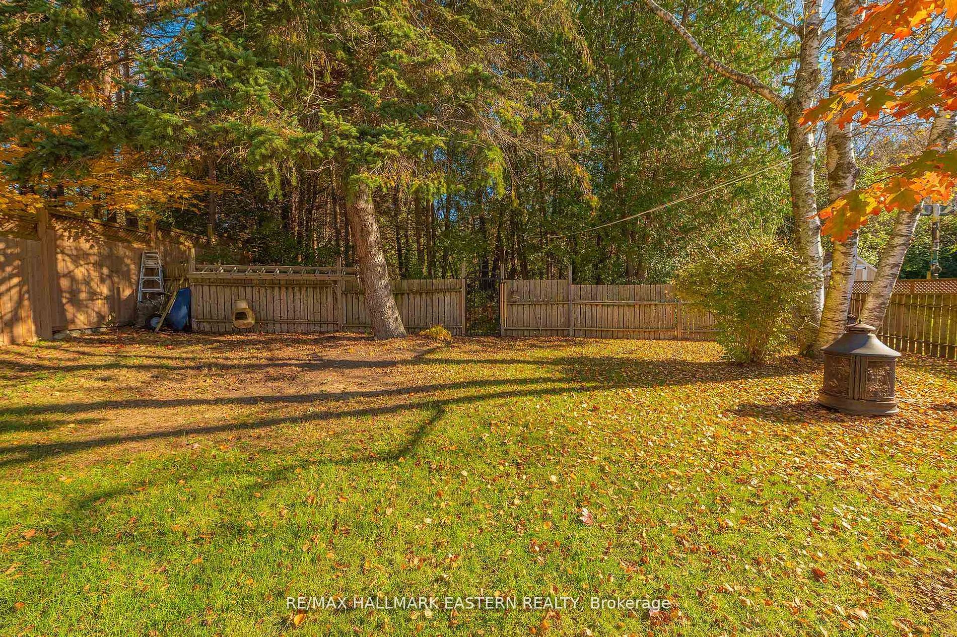 2839 Peter Street Property Photo 5
