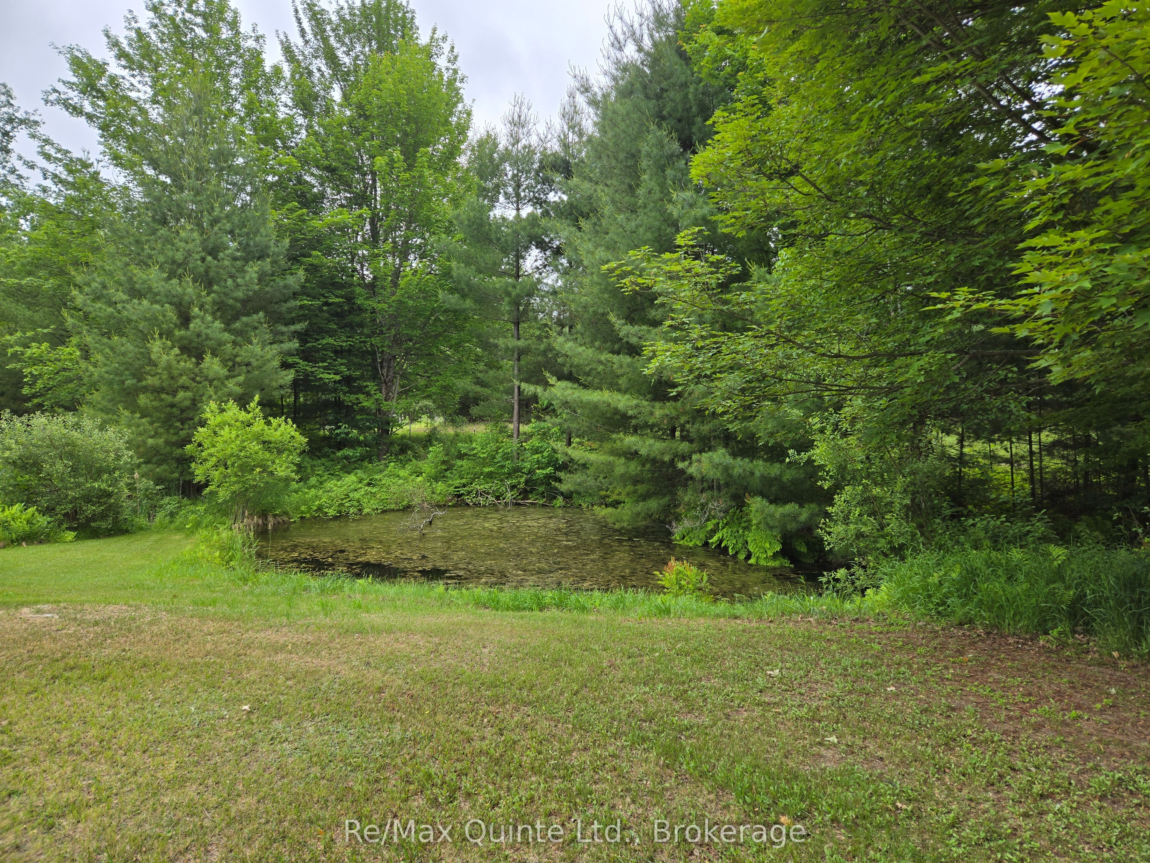 690 Potter Settlement Road Property Photo 5