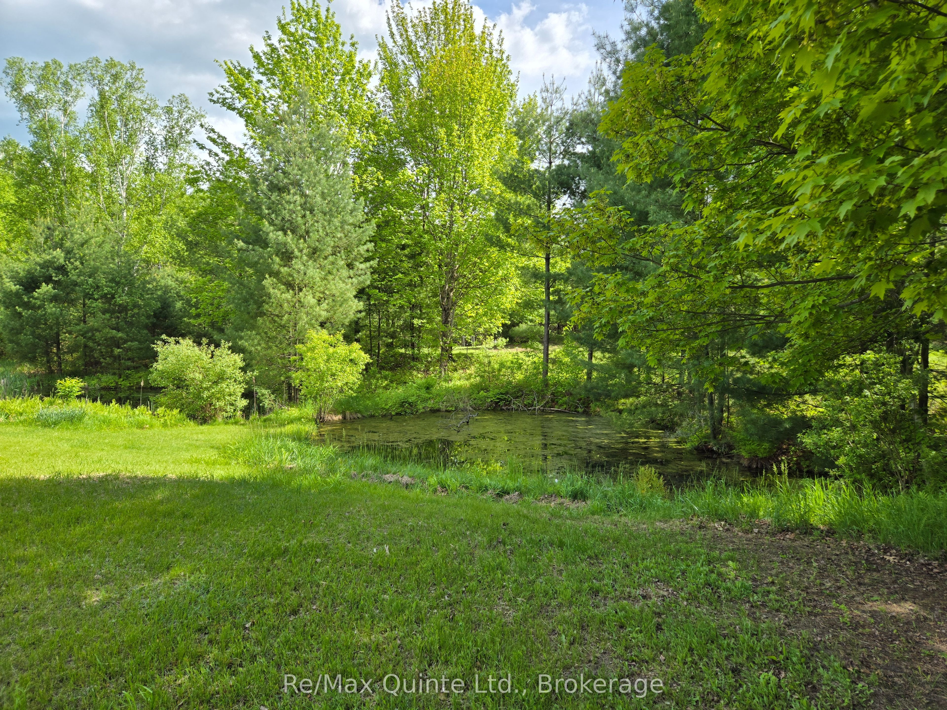 690 Potter Settlement Road Property Photo 6