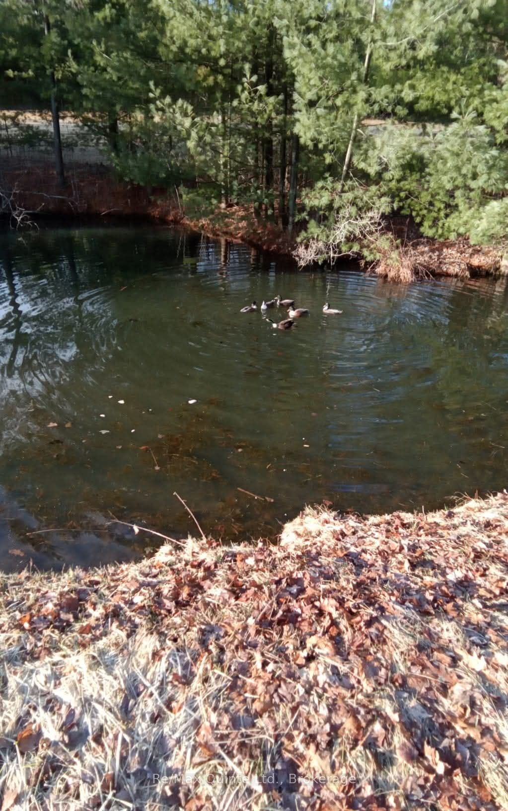 690 Potter Settlement Road Property Photo 7