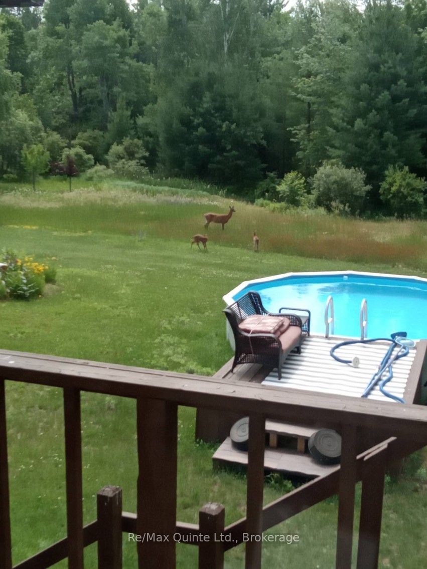 690 Potter Settlement Road Property Photo 11