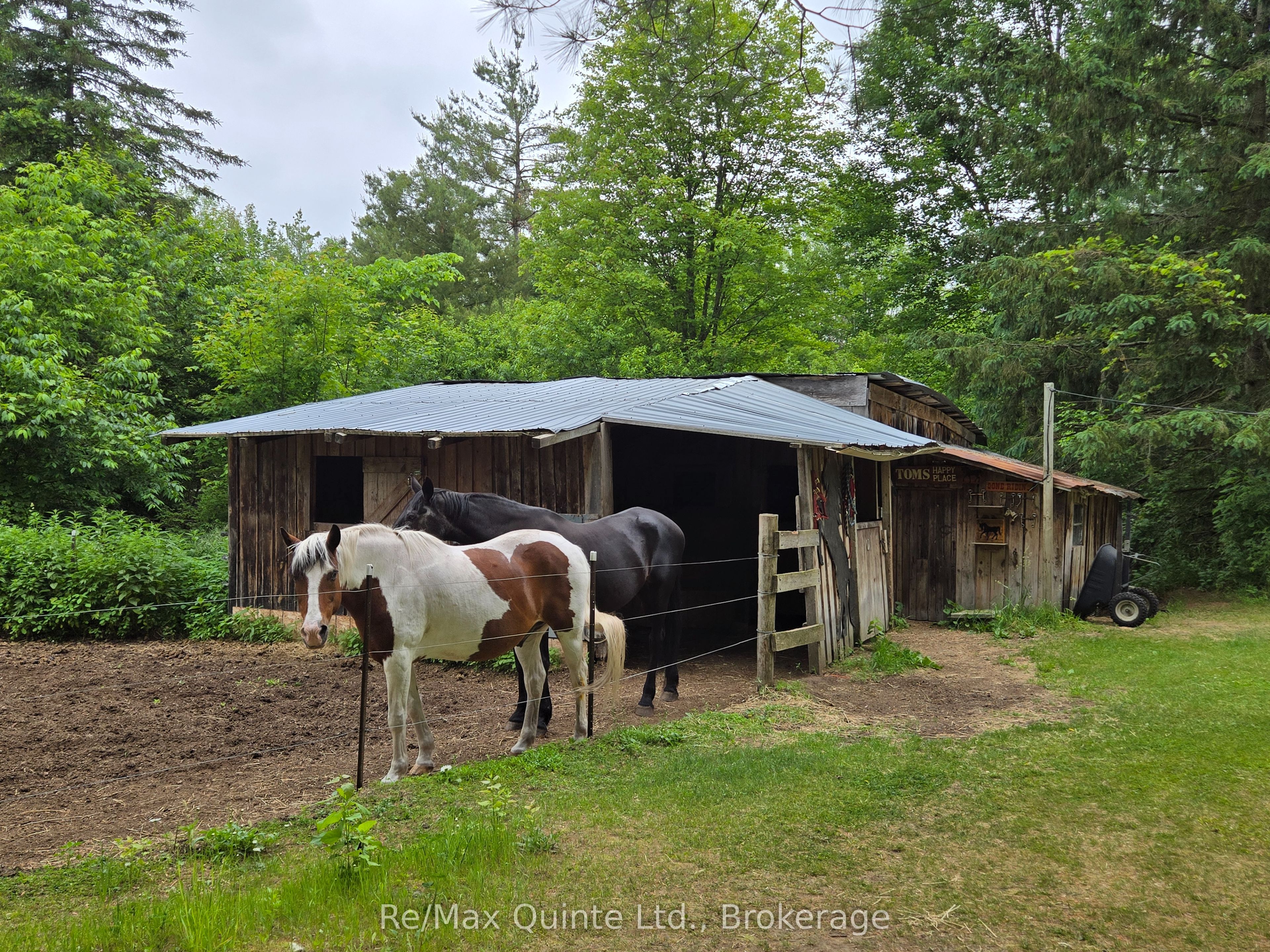 690 Potter Settlement Road Property Photo 13