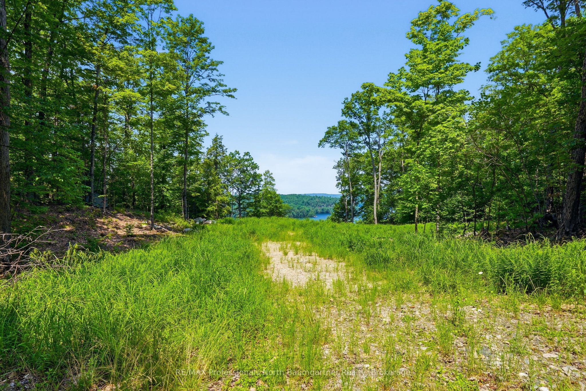 N/a Adeline Trail Property Photo 4