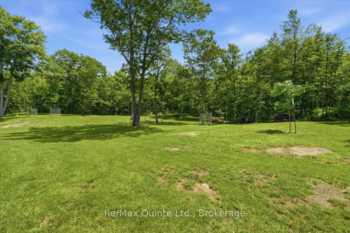 11828 Road 38 Property Photo 37