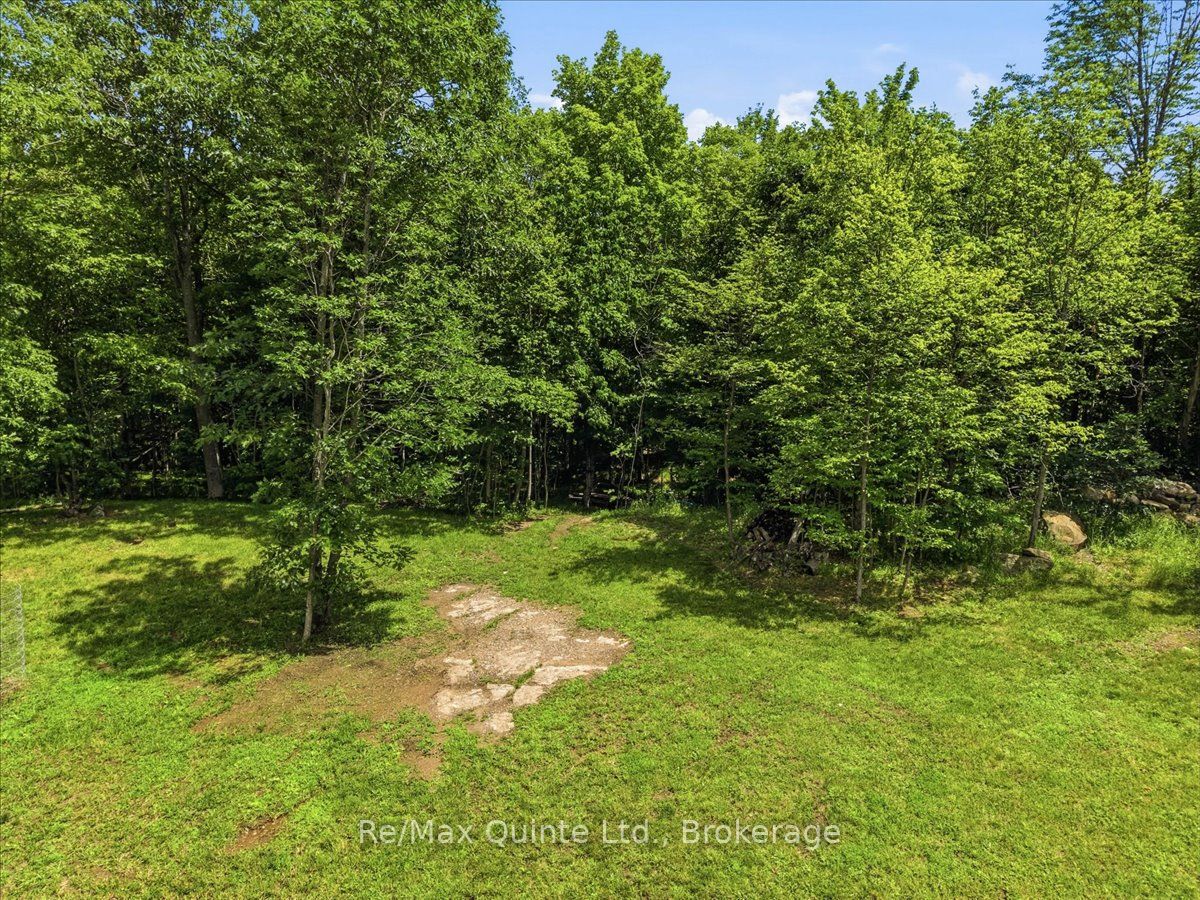 11828 Road 38 Property Photo 38