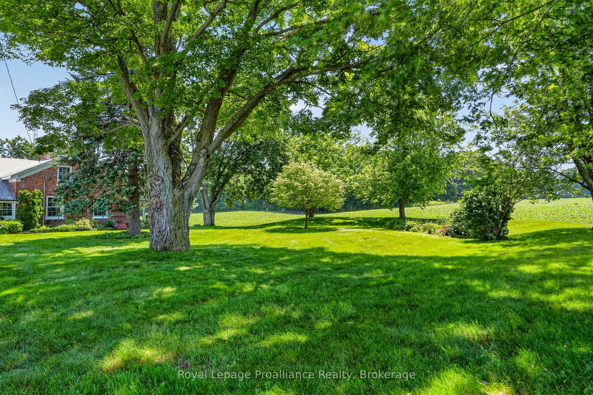 163 Stewart Road Property Photo 38