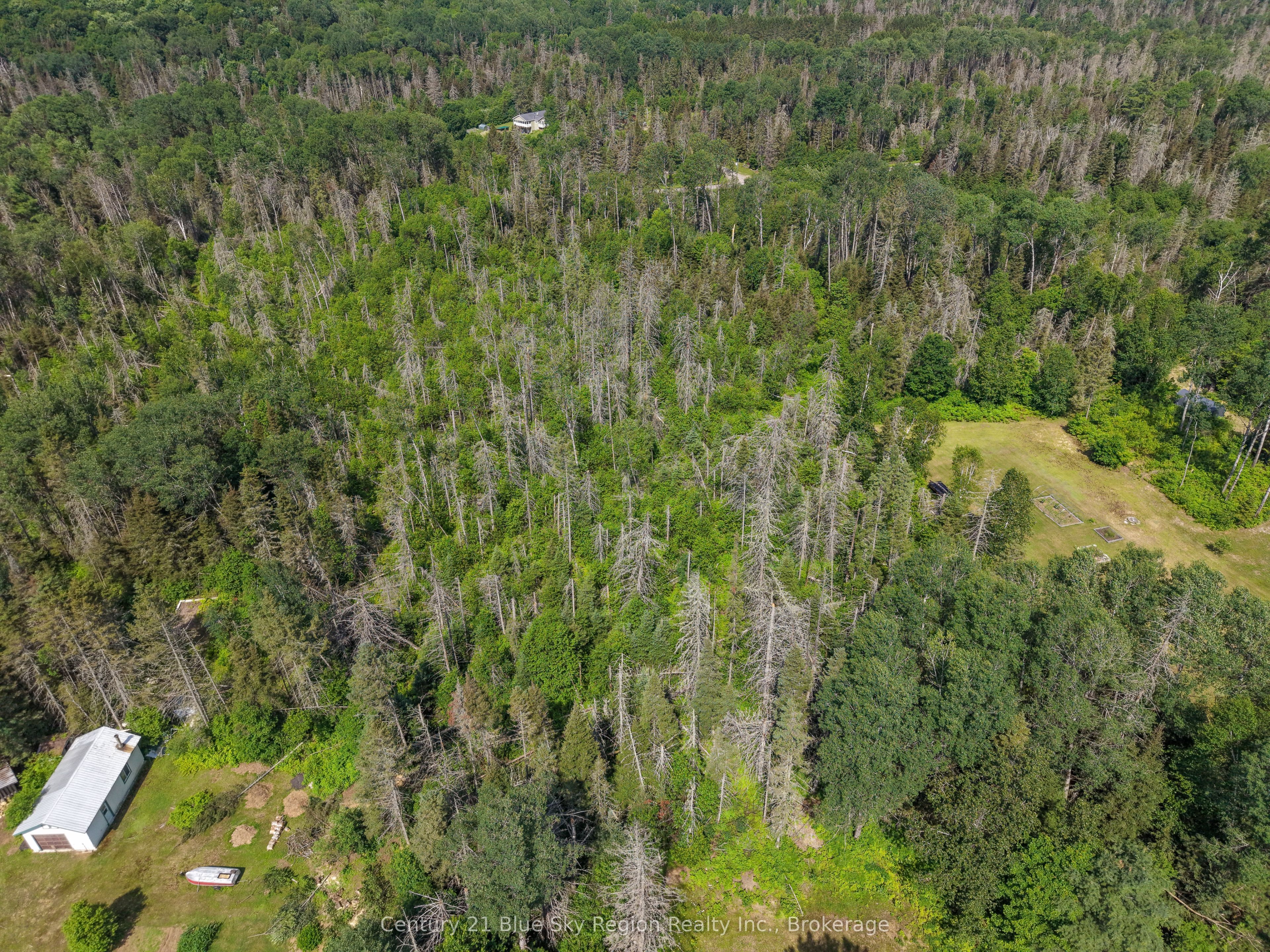 9790 Highway 63 Property Photo 49