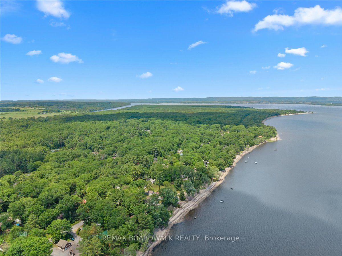 178 Baillie Avenue Property Photo 48