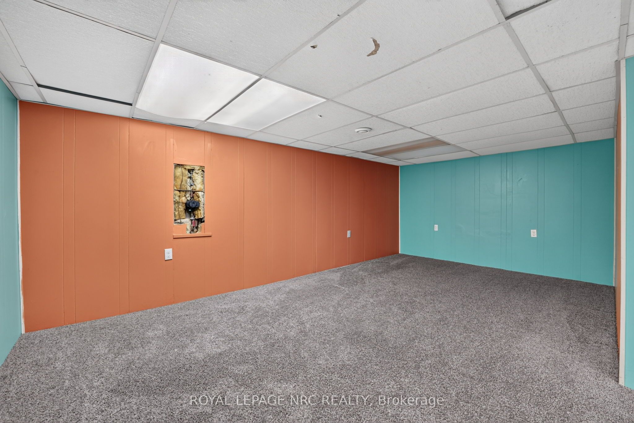 16 Ferguson Avenue Property Photo 28