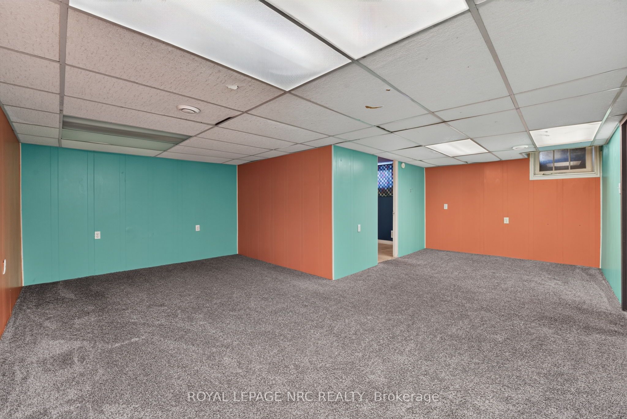 16 Ferguson Avenue Property Photo 29