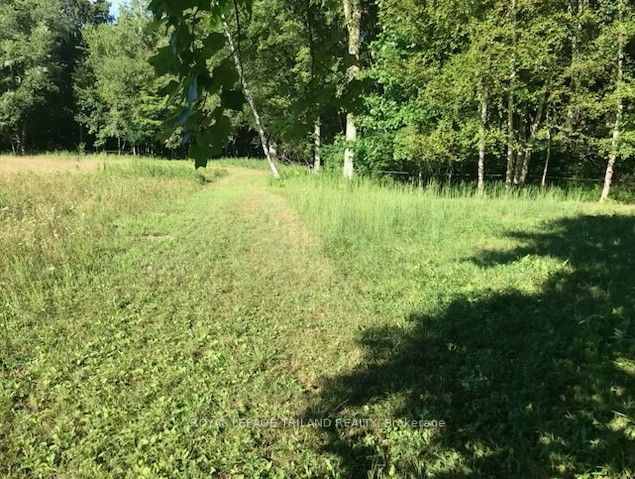 24909 Queens Line Property Photo 36