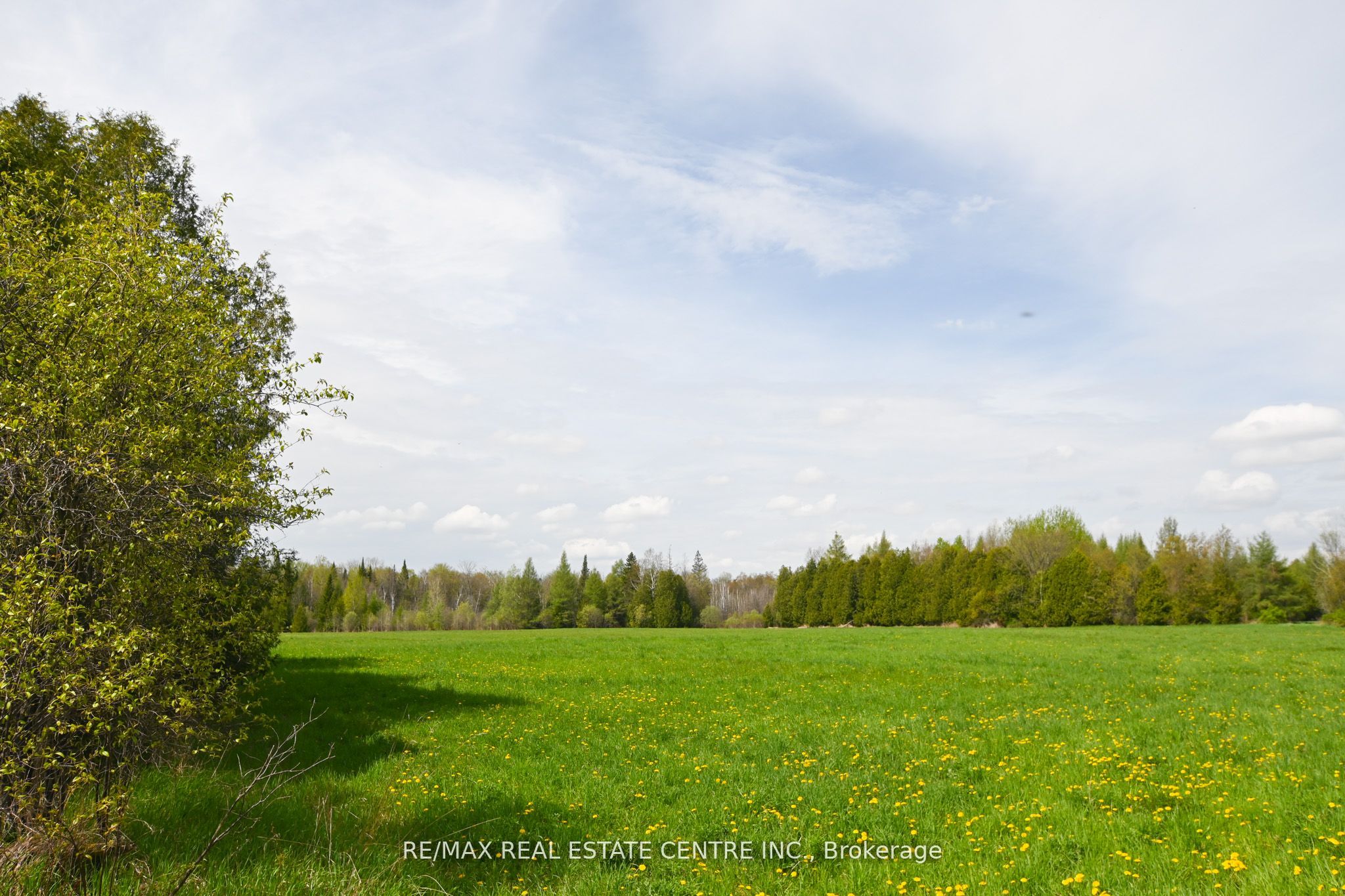 5192 Third Line Property Photo 19