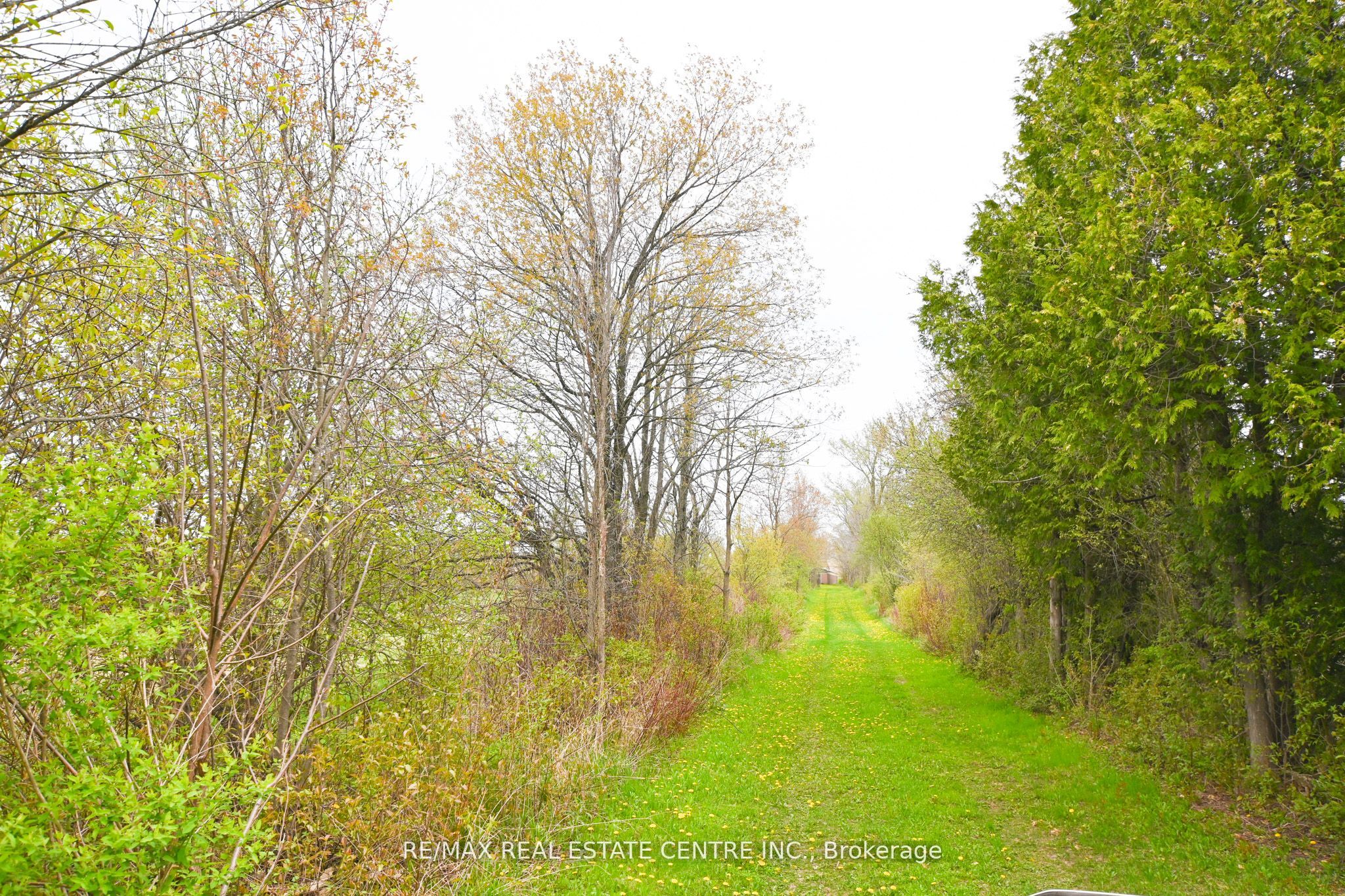 5192 Third Line Property Photo 20