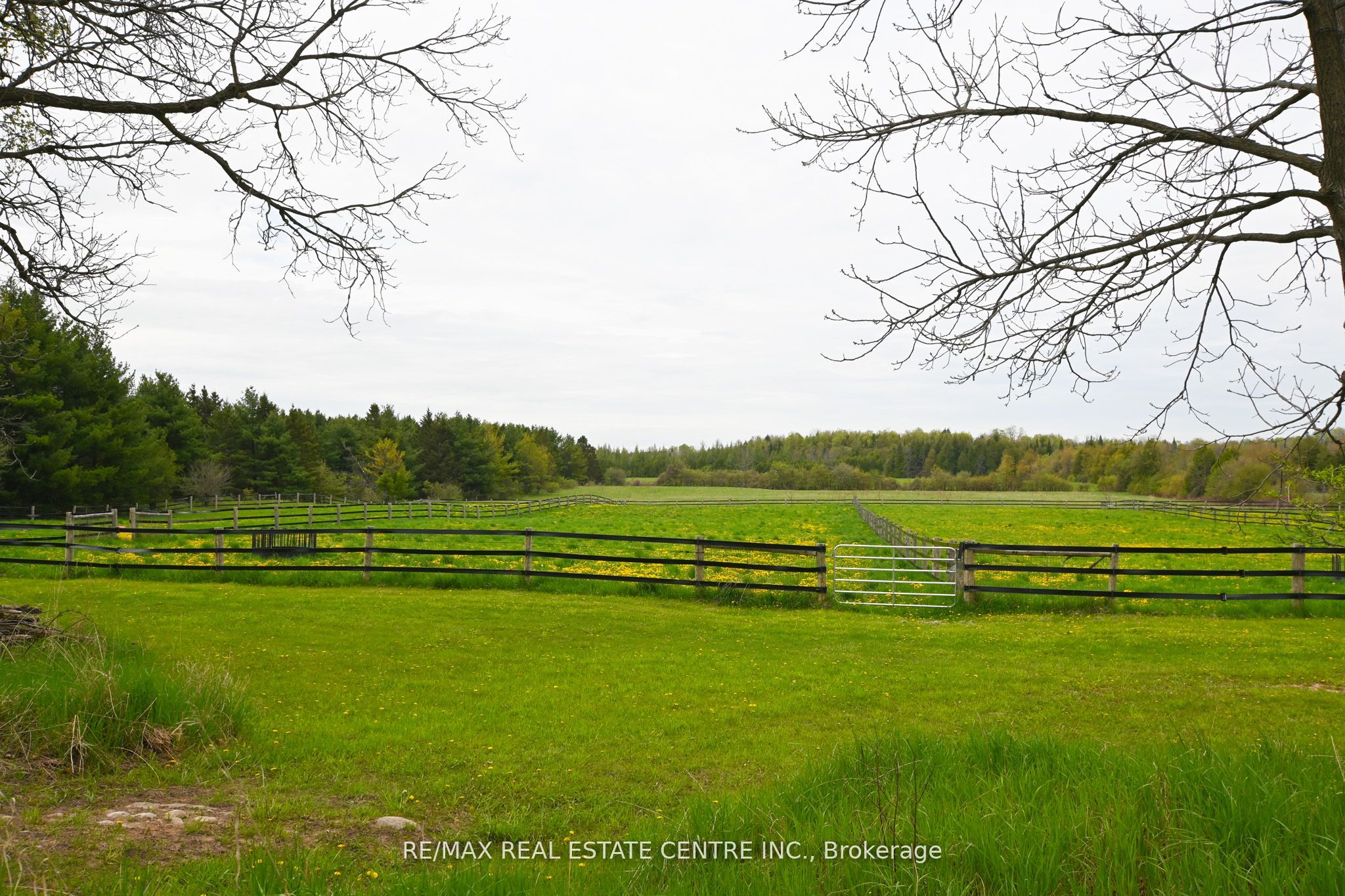 5192 Third Line Property Photo 23