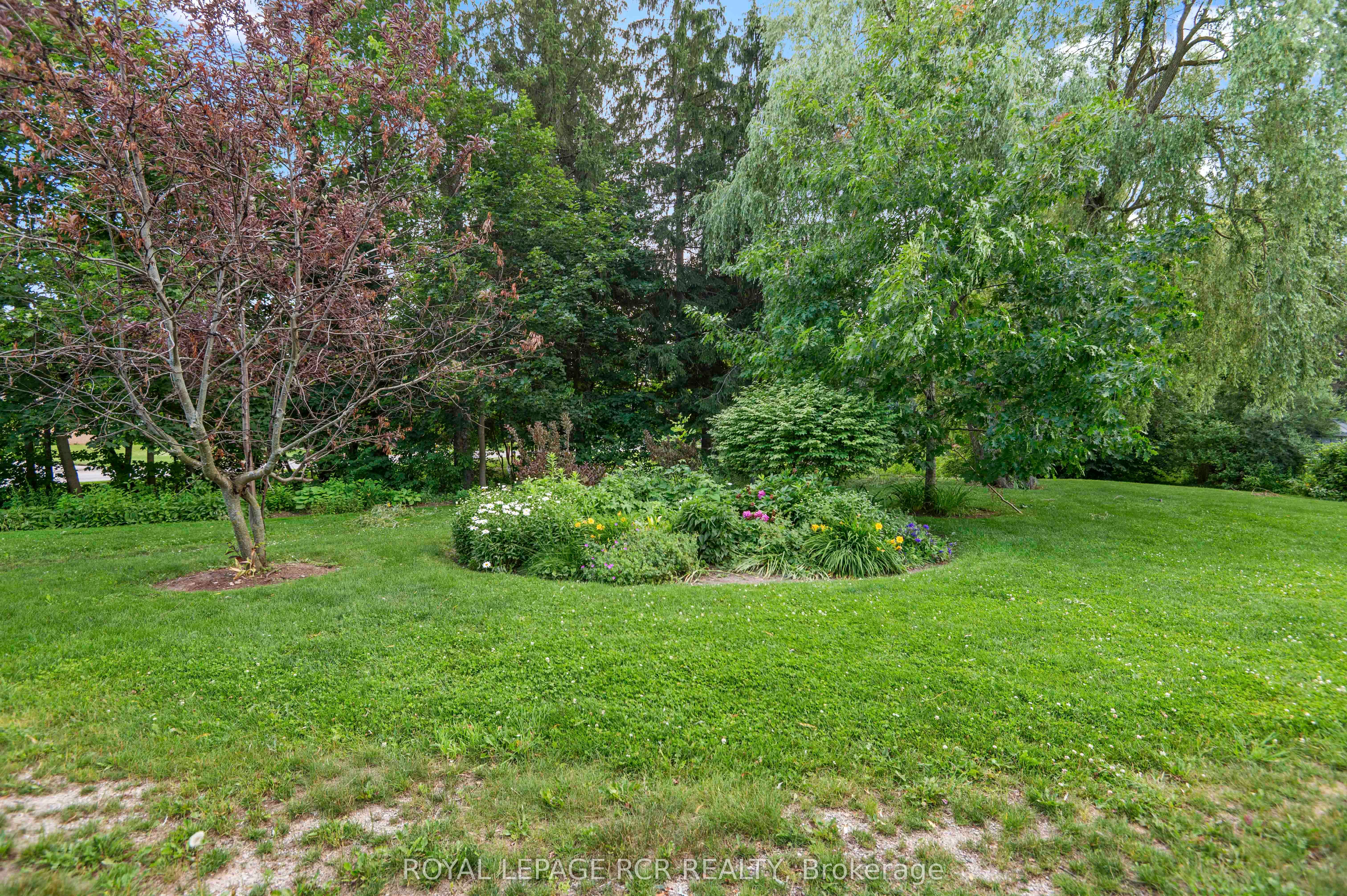 245 Scotland Street 307 Property Photo 30