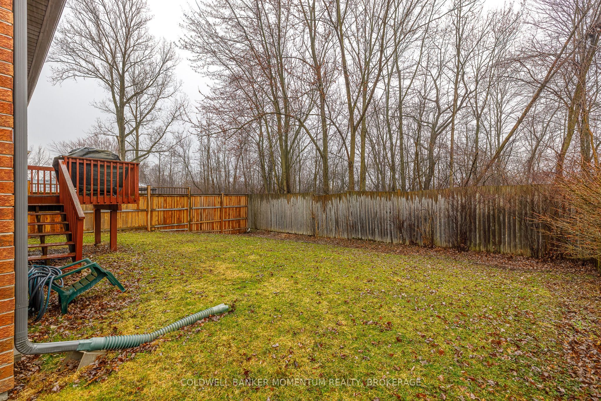 47 Thorold Avenue Property Photo 34