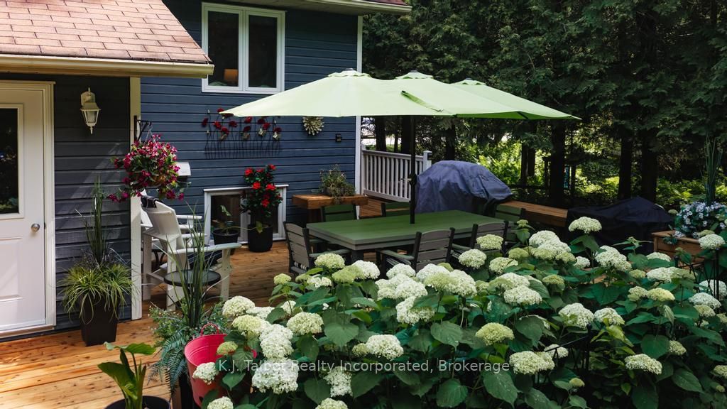 6 David Street E Property Photo 45