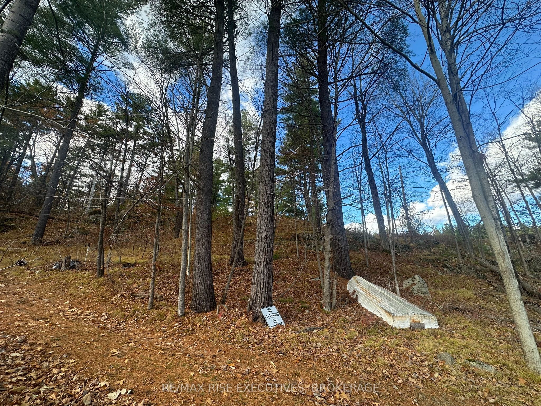 1457 Opeongo Road Property Photo 1