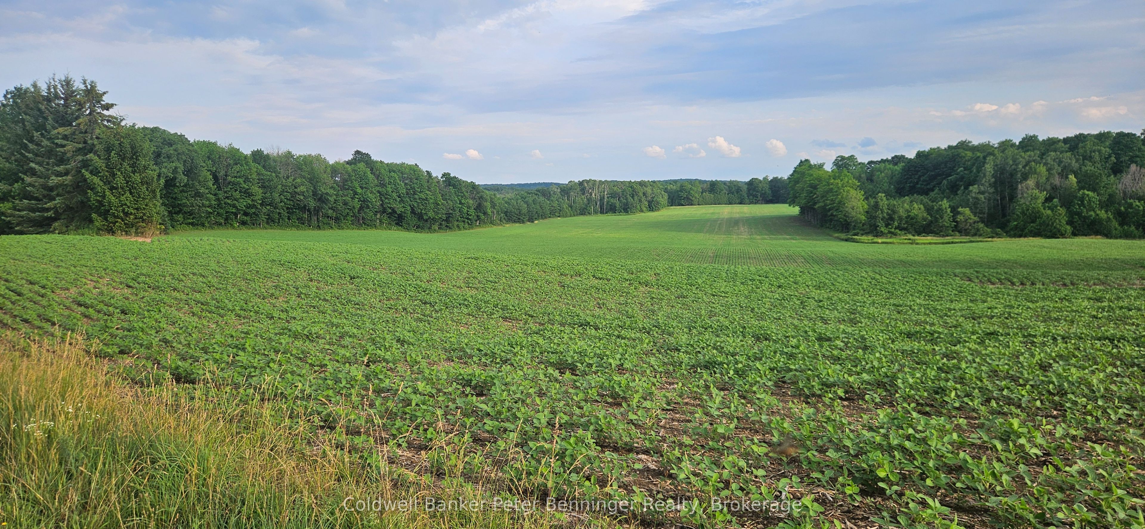 521268 Concession 12 N Property Photo 1