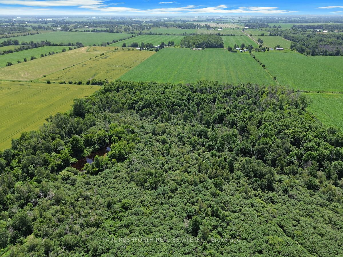 12764 Boyne Road Property Photo 9