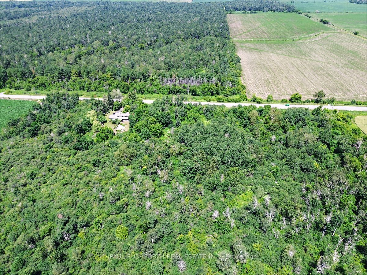 12764 Boyne Road Property Photo 13