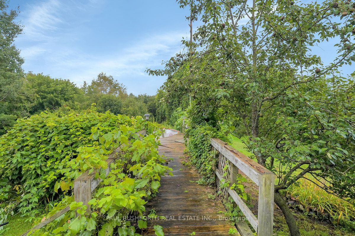 12764 Boyne Road Property Photo 37