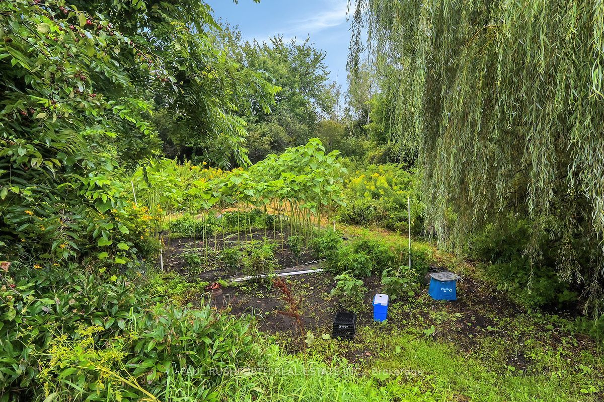 12764 Boyne Road Property Photo 39