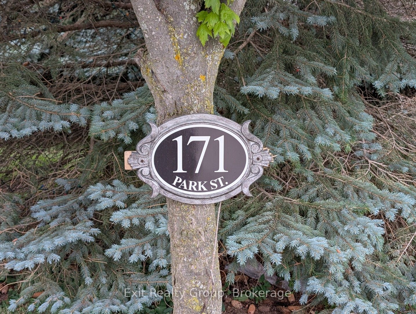 171 Park Street Property Photo 3
