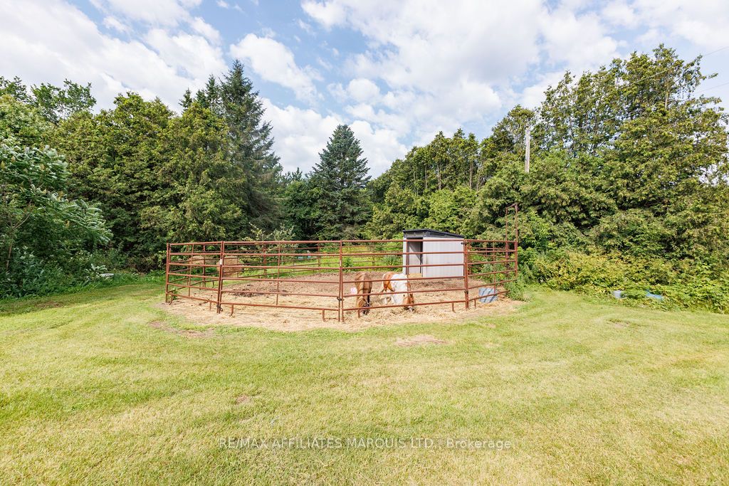 21111 Concession 8 Road Property Photo 4