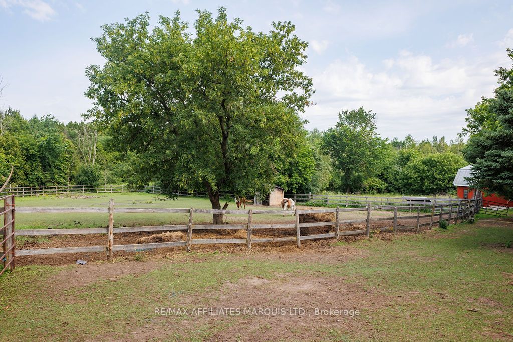 21111 Concession 8 Road Property Photo 5