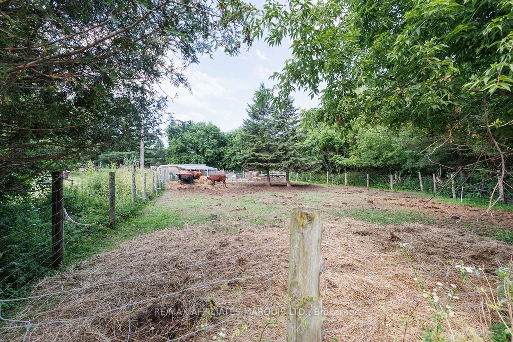 21111 Concession 8 Road Property Photo 11