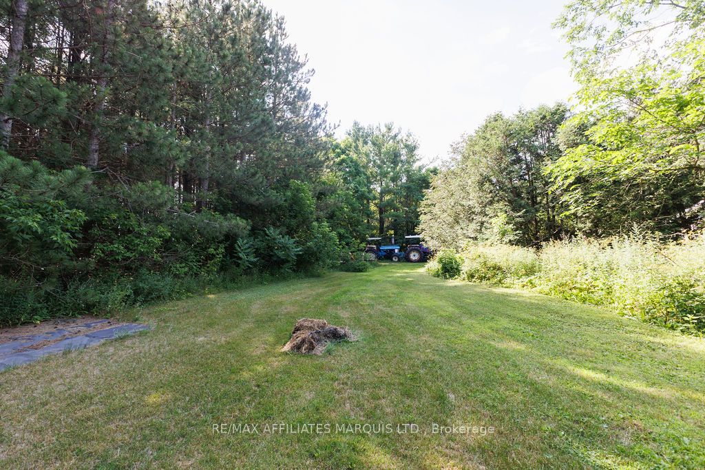 21111 Concession 8 Road Property Photo 13