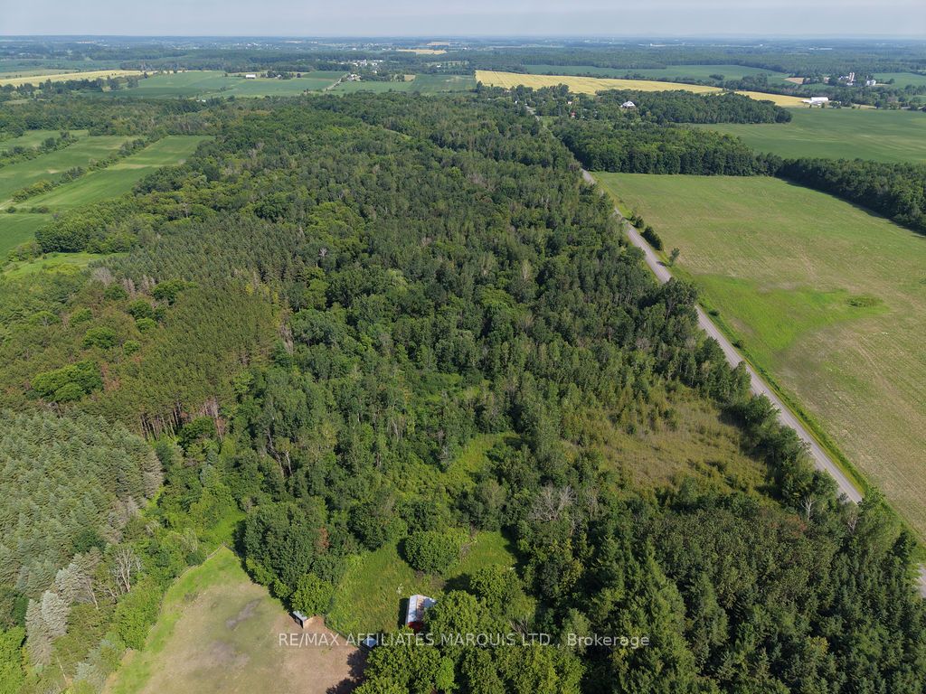 21111 Concession 8 Road Property Photo 37