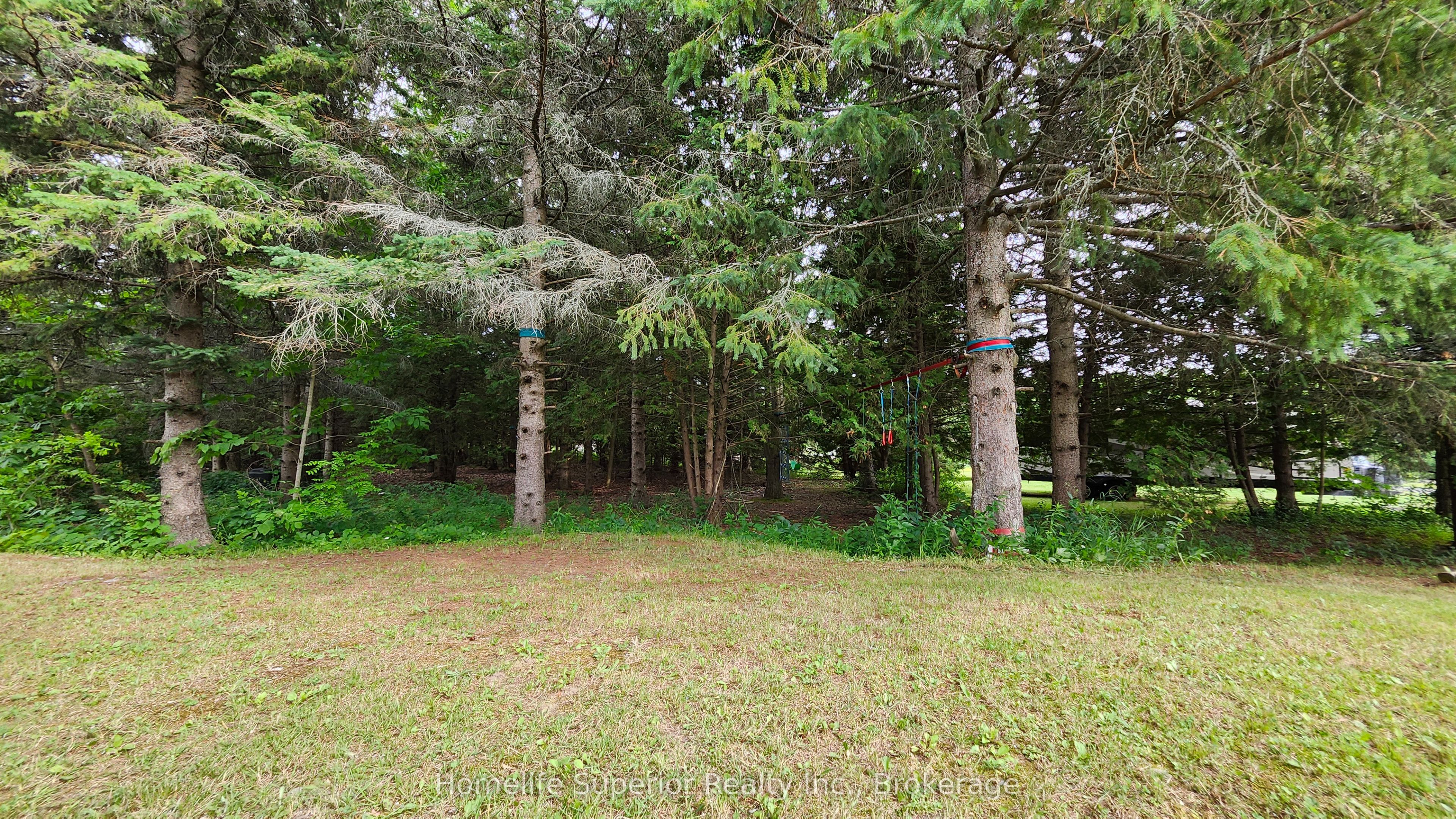 32 Wildrose Circle Property Photo 37