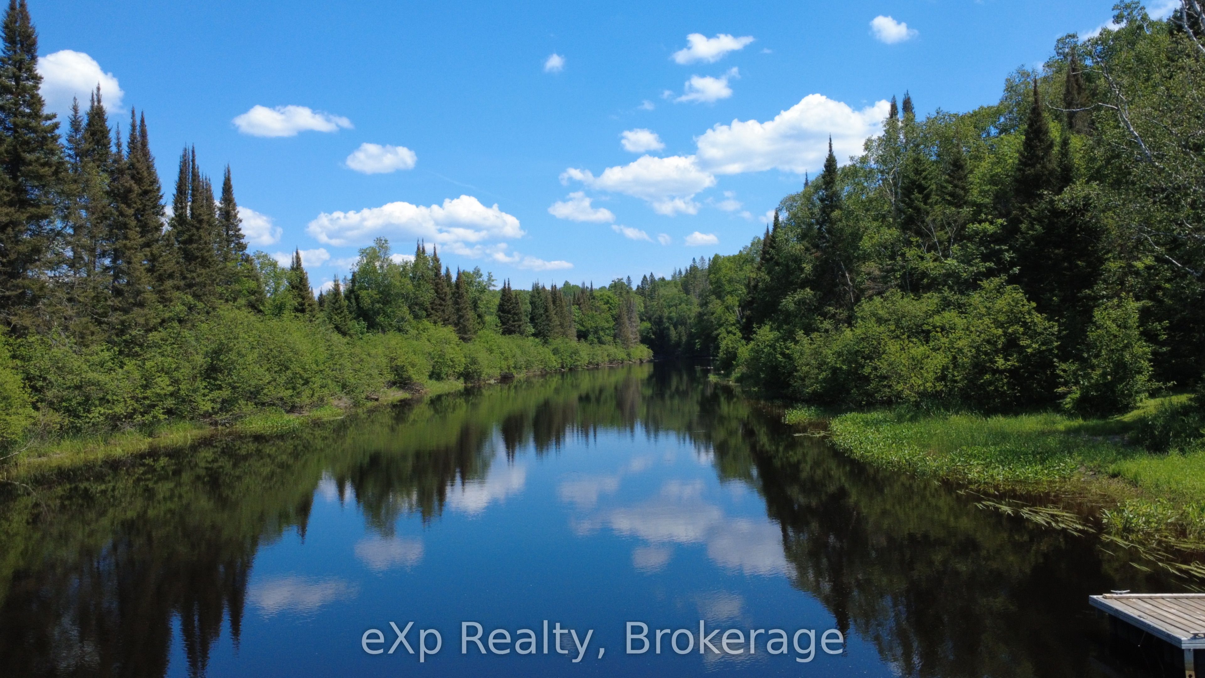 249 River Drive Property Photo 8