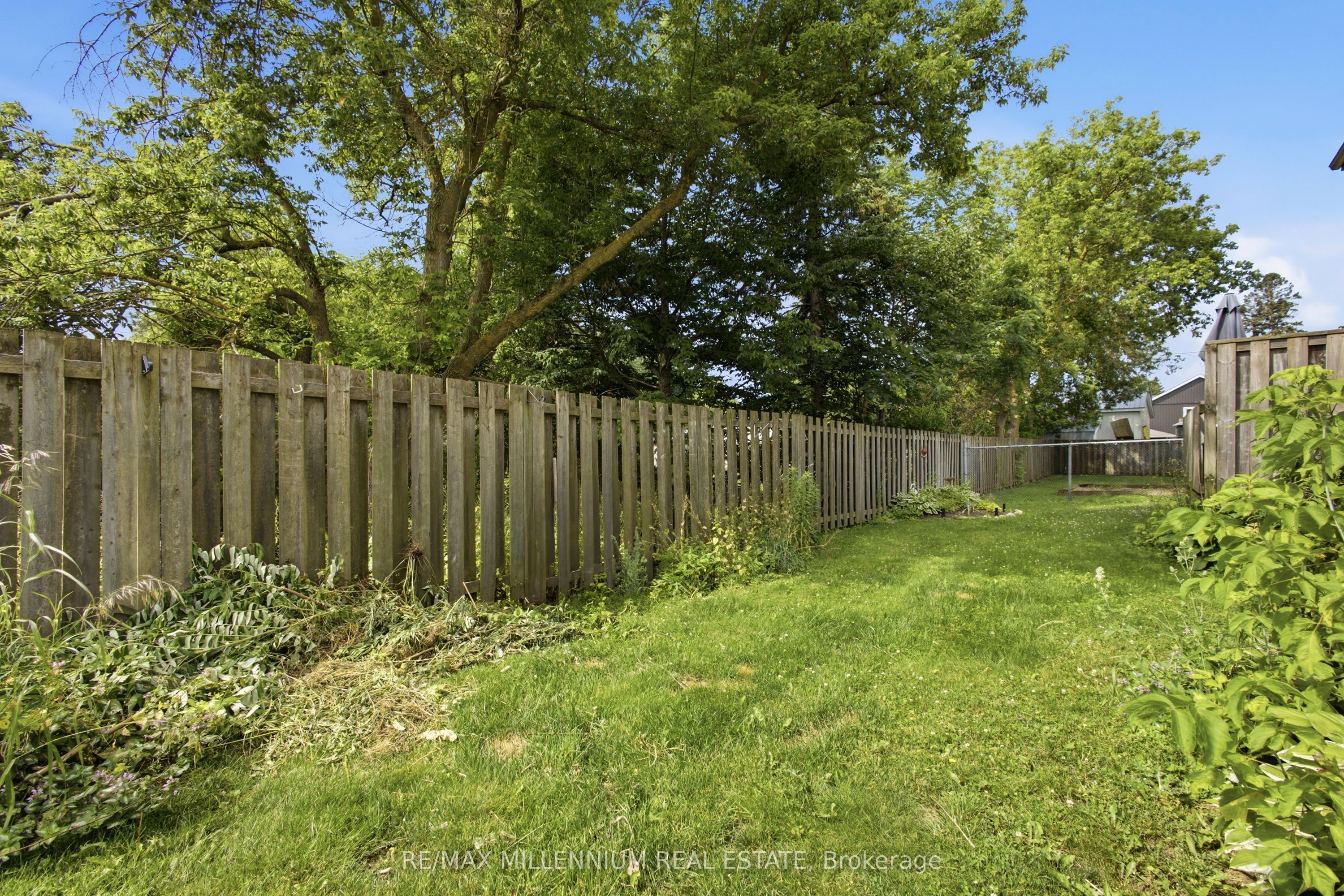 65 Scott Street 2 Property Photo 24